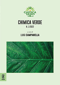 copertina 9791259949066 Chimica verde